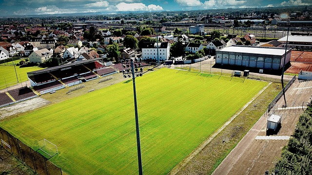 发球技术领 发球技术领